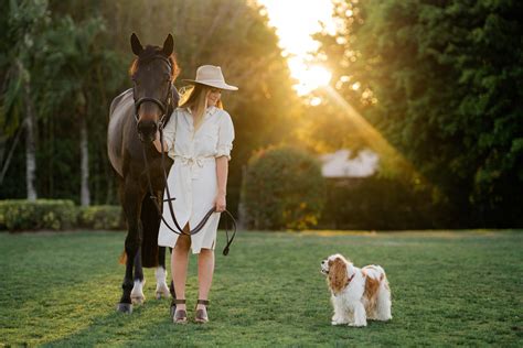 Chloe Reid: Horses From Racing to Driving and Jumping